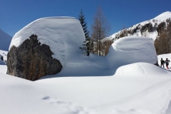 20 marzo 2016 - Ciaspolada in Val Veneggia