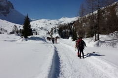 20 marzo 2016 - Ciaspolada in Val Veneggia