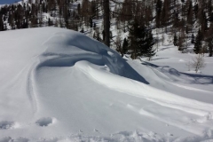 20 marzo 2016 - Ciaspolada in Val Veneggia