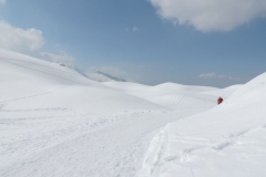 20 marzo 2016 - Ciaspolada in Val Veneggia