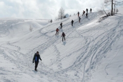 20 marzo 2016 - Ciaspolada in Val Veneggia