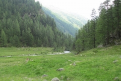 24 giugno 2016 - Val di Rabbi