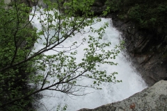 24 giugno 2016 - Val di Rabbi