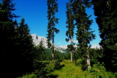 Monte Rosso, 17 luglio 2016