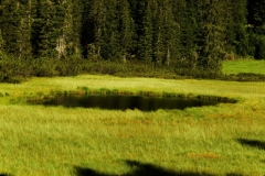 Monte Rosso, 17 luglio 2016