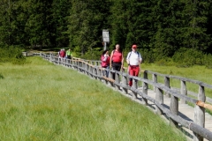 Monte Rosso, 17 luglio 2016