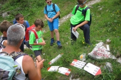 Spiz Zuel 21 luglio2016 003