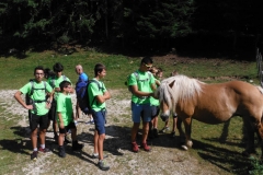 Cansiglio 3- 4 settembre 2016 008